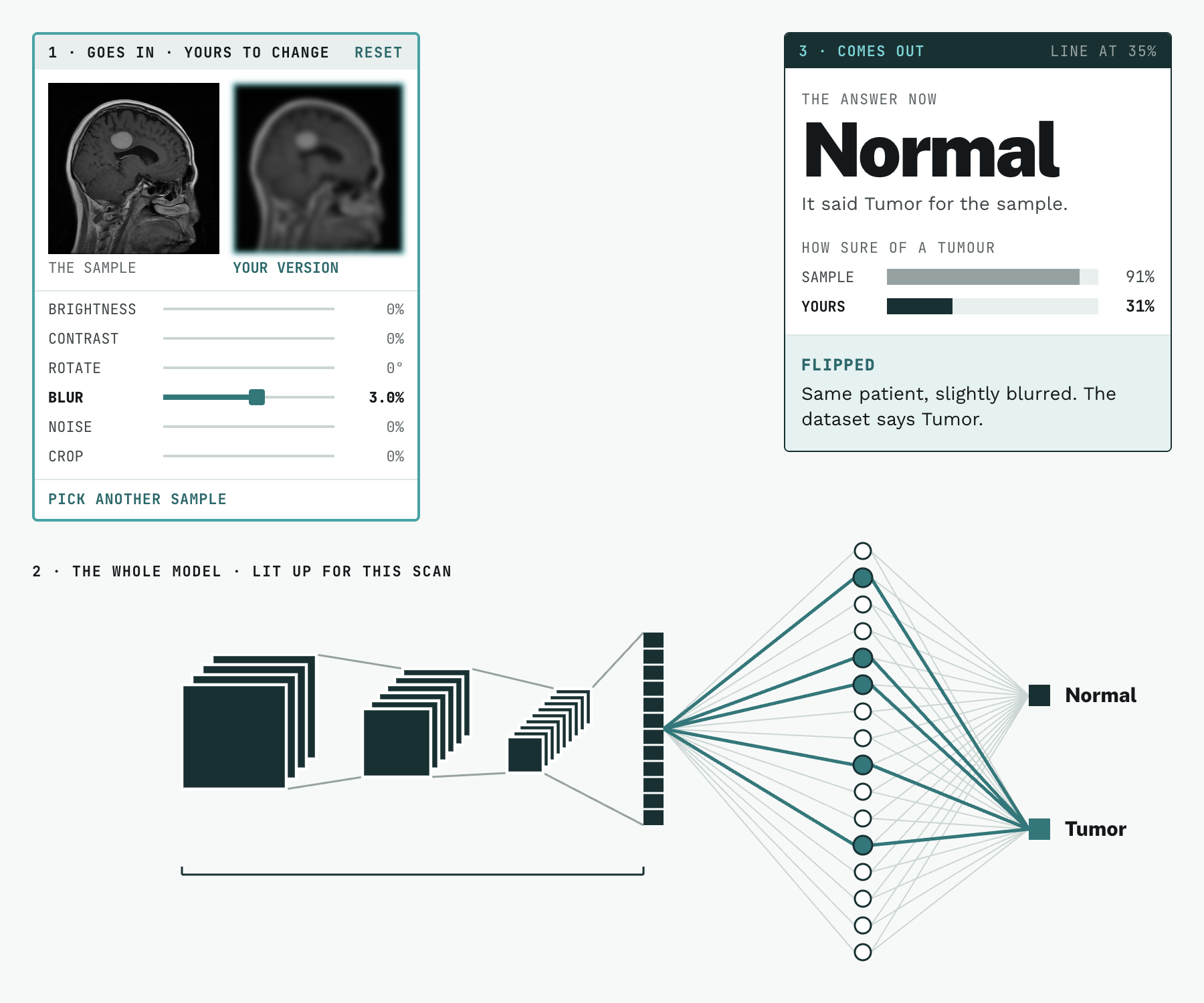 Three parts of the Inference Lab. A brain scan and a blurred copy go in, a diagram shows the model lit up for that scan, and the answer comes out as Normal for a scan the dataset labels Tumor.